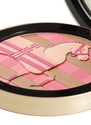 Detail View - Click To Enlarge - HERMÈS - Limited Edition Rocabar Silk Powder