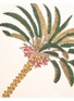  - LES OTTOMANS - Palms Hand Printed Cotton Cushion
