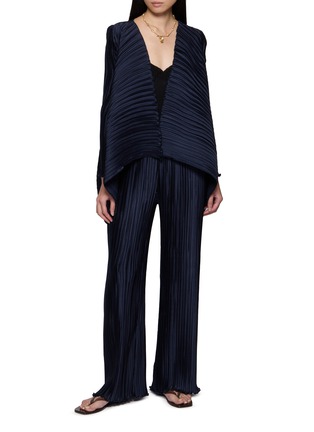Figure View - Click To Enlarge - DAPHNE VALENTE - Iris Pleated Pants