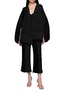 Figure View - Click To Enlarge - DAPHNE VALENTE - Sparta Pleated Cropped Pants