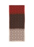 Detail View - Click To Enlarge - LOEWE - Anagram Fringed Scarf