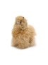 CASA POMA Alpaca Fluffy Doll