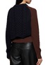 Back View - Click To Enlarge - SACAI - Colour Block Knit Pullover