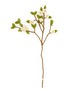 GRY & SIF Apple Blossom Branch