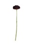SILK-KA Artificial Ranunculus Stem