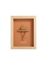 STUDIO AMMÓ in The Shade Framed Art — Terracotta