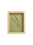 STUDIO AMMÓ The Current Framed Art — Sage Green