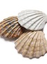 Detail View - Click To Enlarge - BATELA - Scallop Shell Bowl — Set of 3