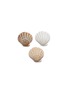 BATELA Scallop Shell Bowl — Set of 3