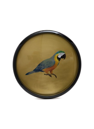 Detail View - Click To Enlarge - PLUMERIA HOME - Parrot Illustration Polished Brass Tray