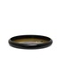 PLUMERIA HOME Parrot Illustration Polished Brass Tray