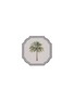 PLUMERIA HOME Palm Coaster