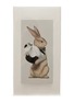 SPEXTRUM Tissue Up Tale Wonder Rabbit Case