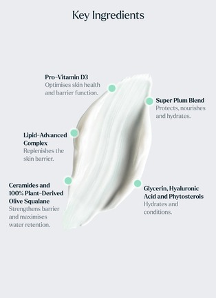 Detail View - Click To Enlarge - SKIN ROCKS - The Moisturiser 50ml