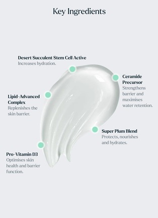 Detail View - Click To Enlarge - SKIN ROCKS - The Light Moisturiser 50ml