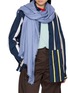 Figure View - Click To Enlarge - LANE'S - Silk Cashmere Twill Shawl