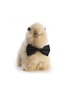WEICH COUTURE ALPACA Paco Stuffed Alpaca Toy — Champagne/Size S