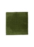 HIPPOPOTAMUS Wash Towel — Pistachio