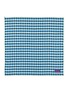 LOEWE X Cosima Von Bonin Silk Scarf
