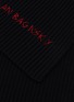 Detail View - Click To Enlarge - RUSLAN BAGINSKY - Embroidered Merino Wool Scarf
