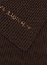 Detail View - Click To Enlarge - RUSLAN BAGINSKY - Embroidered Merino Wool Scarf