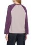 Back View - Click To Enlarge - ÁMR DE SAÍSON - Raglan Long Sleeve T-shirt