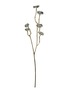SHISHI Crystal Blossom Branch