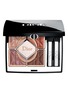 DIOR BEAUTY Limited Edition Diorshow 5 Couleurs — 623 Cinnamon Glaze
