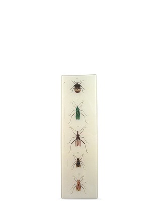 Main View - Click To Enlarge - JOHN DERIAN COMPANY INC. - Insects 12-16 rectangular tray