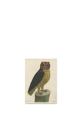 Main View - Click To Enlarge - JOHN DERIAN COMPANY INC. - Wing'd Horned Owl postcard set with envelope