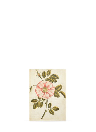 Main View - Click To Enlarge - JOHN DERIAN COMPANY INC. - Painted rose postcard set with envelope