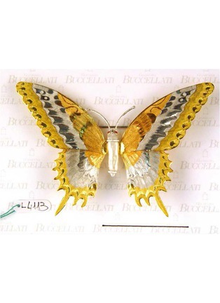 Main View - Click To Enlarge - BUCCELLATI - LC-210077024-null