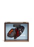 Main View - Click To Enlarge - NOVEL - 'Vanessa Indica' butterfly wing silk pocket square