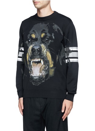 Front View - Click To Enlarge - GIVENCHY - Rottweiler print stripe sweater 