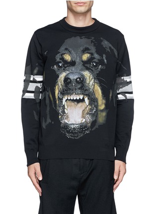 Main View - Click To Enlarge - GIVENCHY - Rottweiler print stripe sweater 