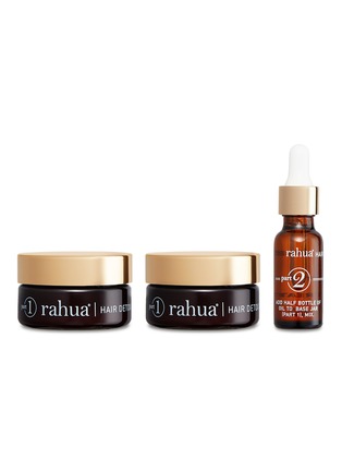 Main View - Click To Enlarge - RAHUA - Rahua Hair Detox and Renewal Treatment Kit