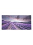 Main View - Click To Enlarge - TILO - 'Lavender Fields' print modal-cashmere scarf