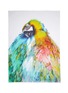 Main View - Click To Enlarge - FRANCO FERRARI - Parrot print silk-cotton scarf