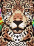 Detail View - Click To Enlarge - MARA HOFFMAN - 'Jaguar' rashguard top