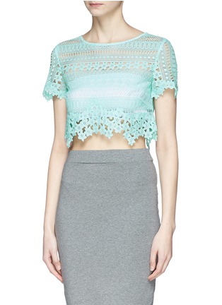 Front View - Click To Enlarge - HELEN LEE - Floral cutout lace cropped top