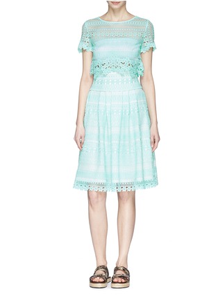 Figure View - Click To Enlarge - HELEN LEE - Floral cutout lace flare skirt