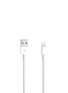 Main View - Click To Enlarge - APPLE - Lightning to USB Cable (1M)