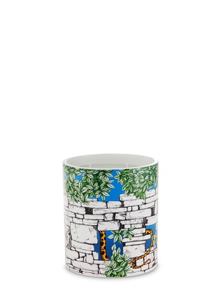 Main View - Click To Enlarge - FORNASETTI - Il Serpente del Giardino large scented candle 1.9kg