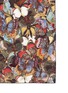 Detail View - Click To Enlarge - VALENTINO GARAVANI - 'Camubutterfly' silk scarf