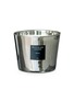 Main View - Click To Enlarge - BAOBAB COLLECTION - Platinum Max 10 scented candle