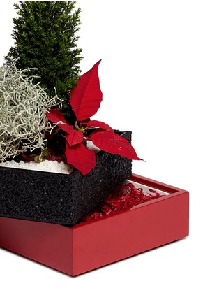Detail View - Click To Enlarge - THE STALK ROOM - Poinsettia large bento box planter set