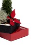 Detail View - Click To Enlarge - THE STALK ROOM - Poinsettia large bento box planter set