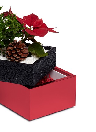 Detail View - Click To Enlarge - THE STALK ROOM - Poinsettia small bento box planter set