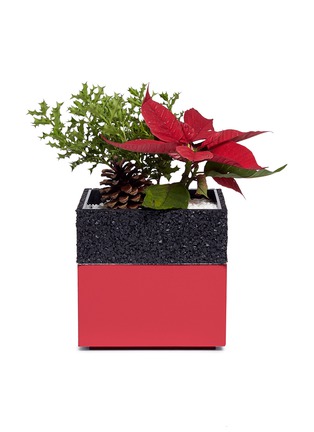 Main View - Click To Enlarge - THE STALK ROOM - Poinsettia small bento box planter set