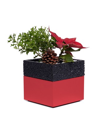  - THE STALK ROOM - Poinsettia small bento box planter set